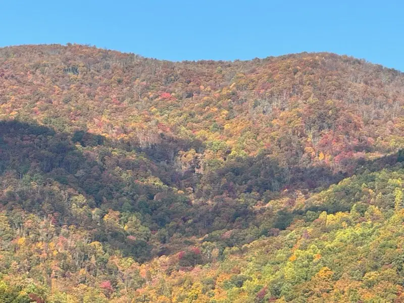 10617 Highway 64 E, Hayesville, NC 28904 - #3