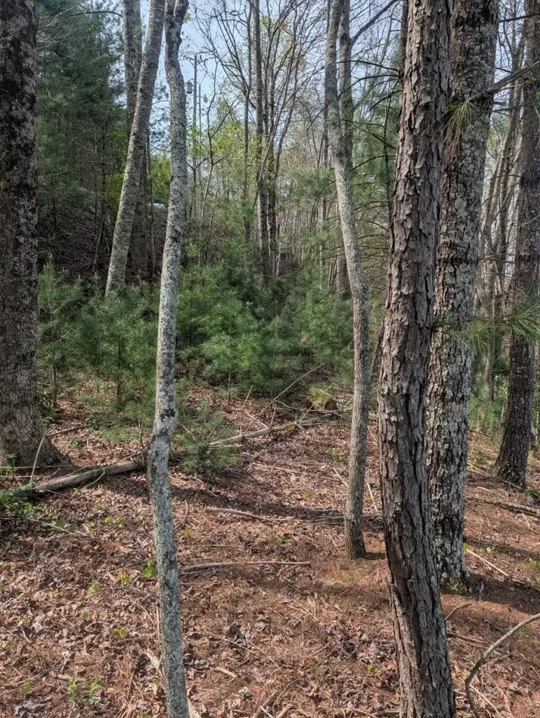 Lt 7A Lake Appalachia Acres Drive, Murphy, NC 28906 - #3