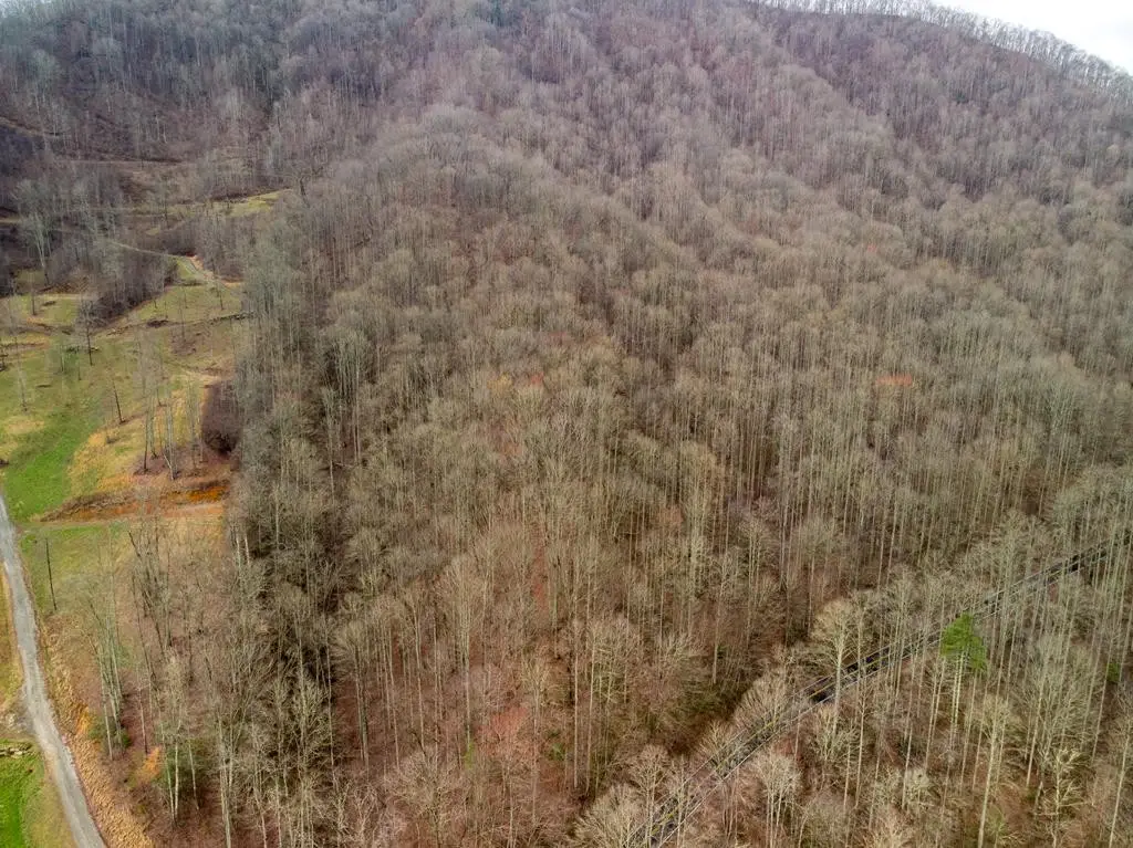 00 Upper Tuskeegee Road, Robbinsville, NC 28771 - #1