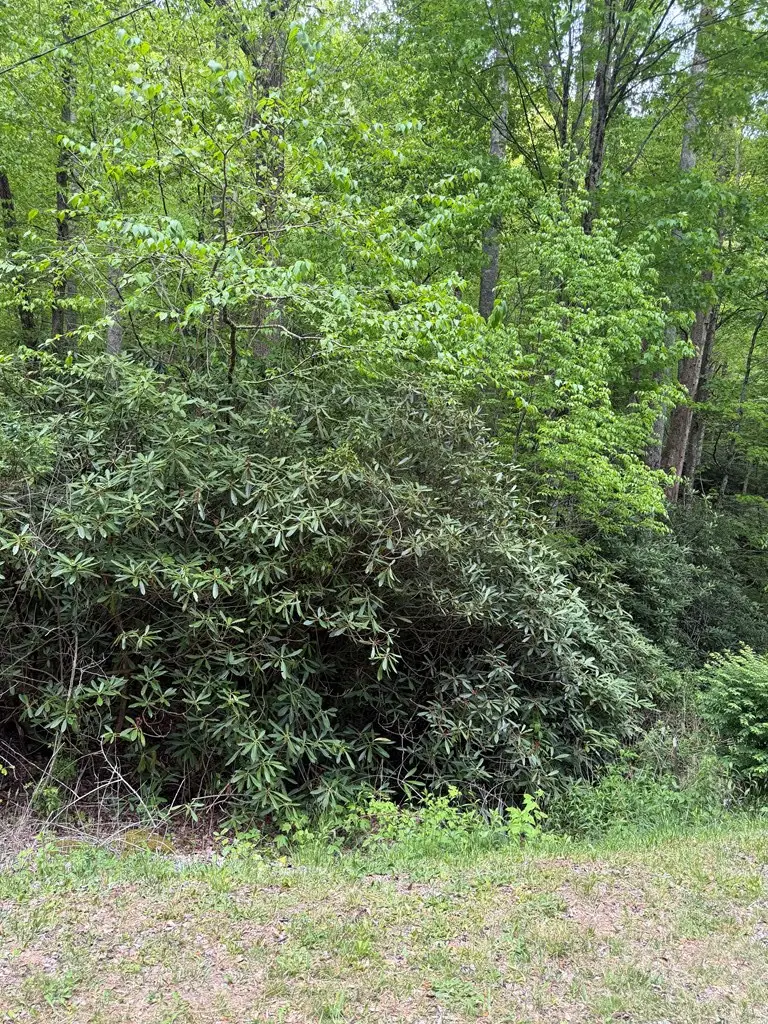 2 lots Warrior Way Road, Valleytown, NC 28781 - #2