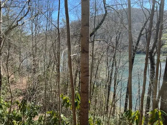 lot 41 Indian Lake Drive, Topton, NC 28781 - #3