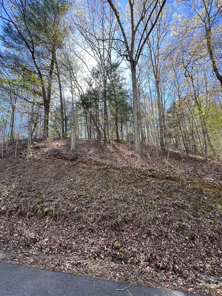 Lot 2 Lonesome Pine, Murphy, NC 28906 - #2