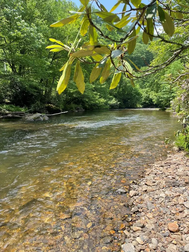 17 & 18 Wilderness Drive, Hayesville, NC 28904 - #1