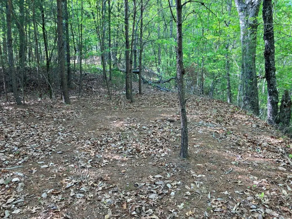 Lt24 Mission Ridge Court, Hayesville, NC 28904 - #1
