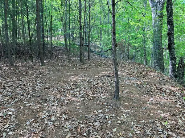 Lt24 Mission Ridge Court, Hayesville, NC 28904