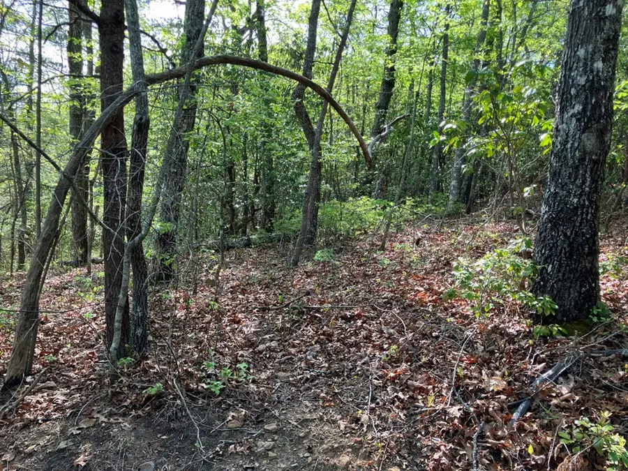 Lt24 Mission Ridge Court, Hayesville, NC 28904 - #2