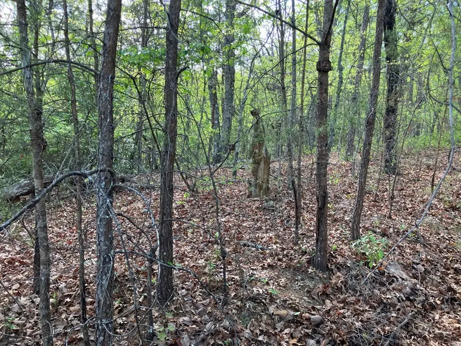 Lt24 Mission Ridge Court, Hayesville, NC 28904 - #3