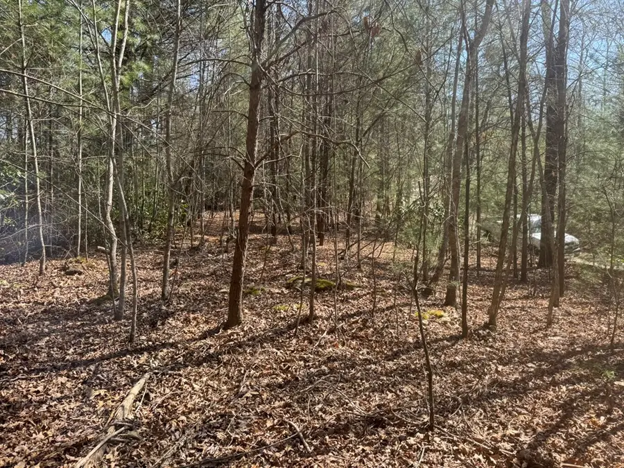 00 Blue Ridge Heights, Notla, NC 28906 - #2
