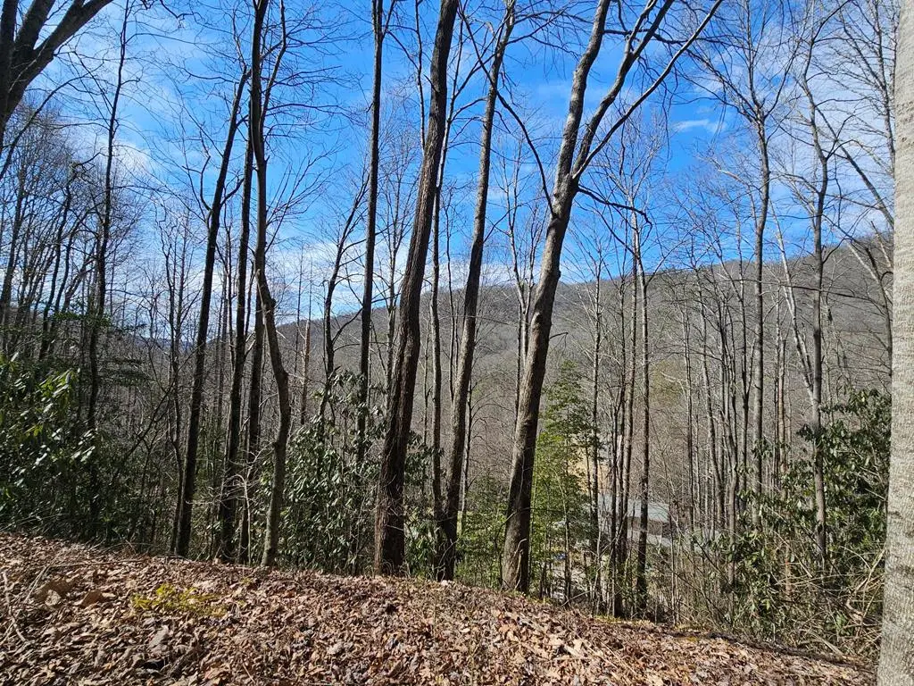 16 Warrior Way, Andrews, NC 28901 - #1