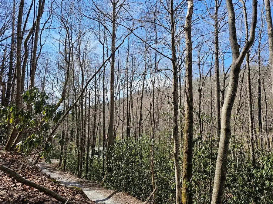 16 Warrior Way, Andrews, NC 28901 - #3