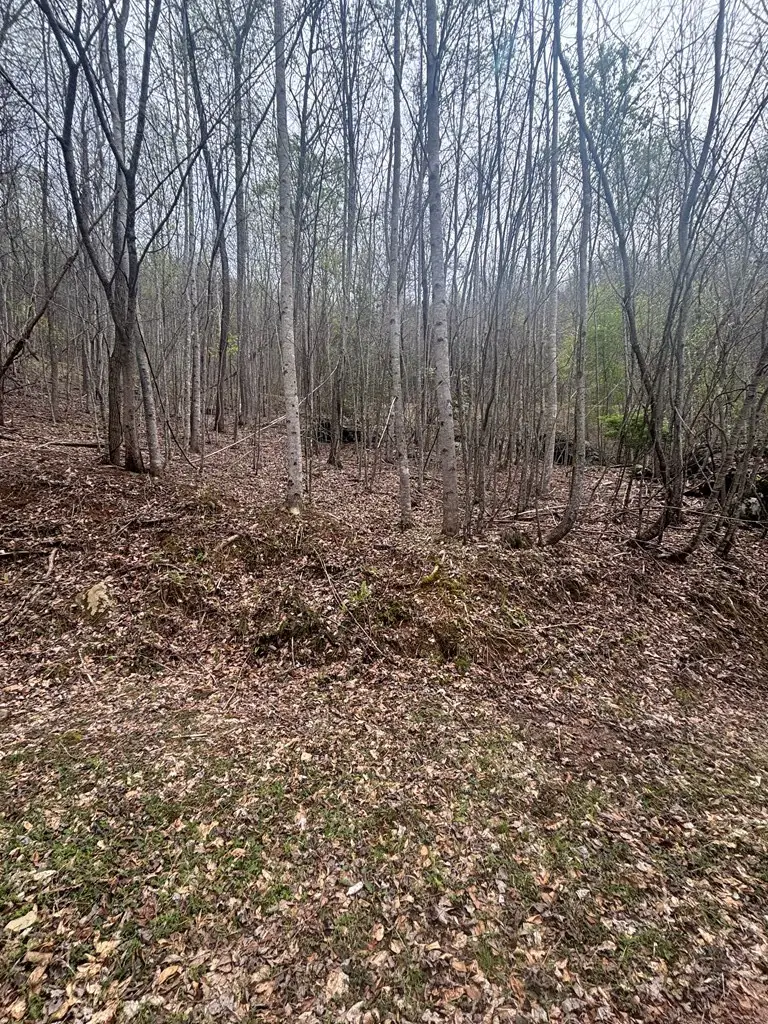 Lot 4 Buck Ridge Drive, Murphy, NC 28906 - #2