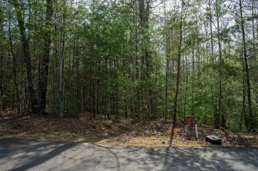 Lot 2 Flowing Springs Drive, Murphy, NC 28906 - #2
