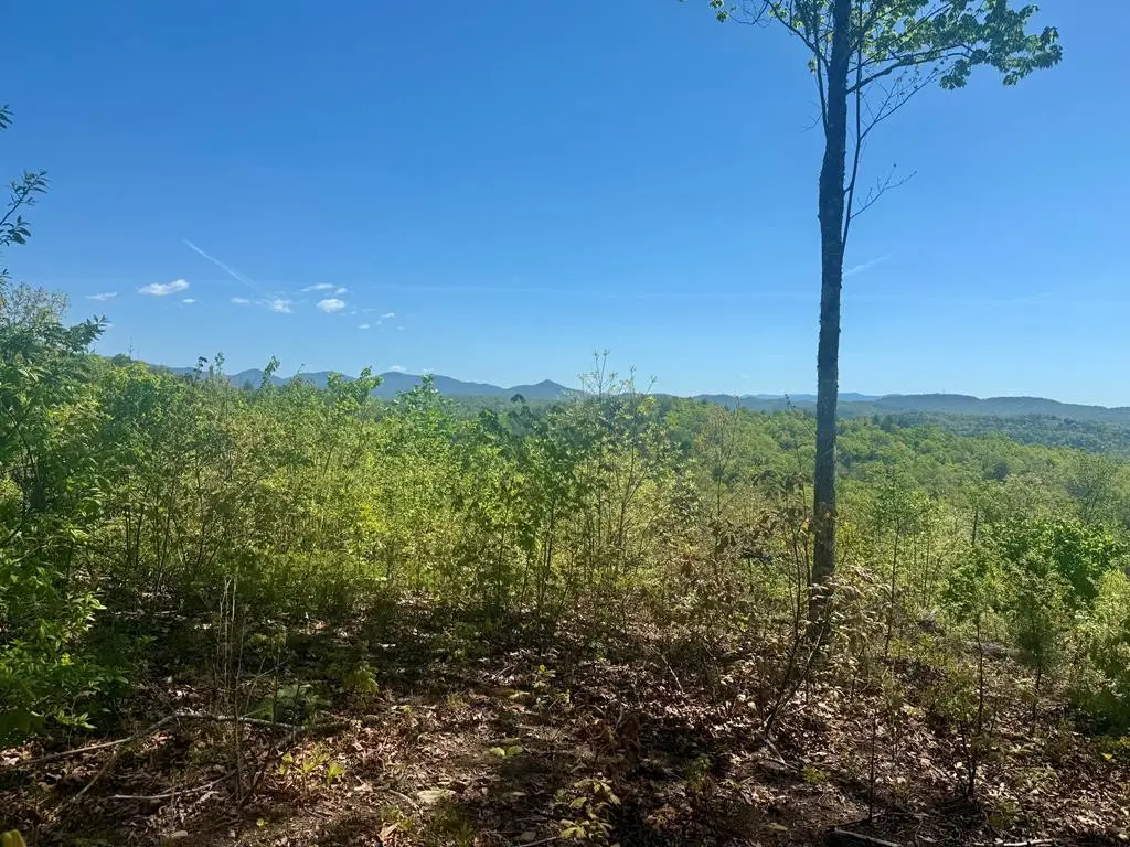 0 Wayah Ridge, Murphy, NC 28906 - #1