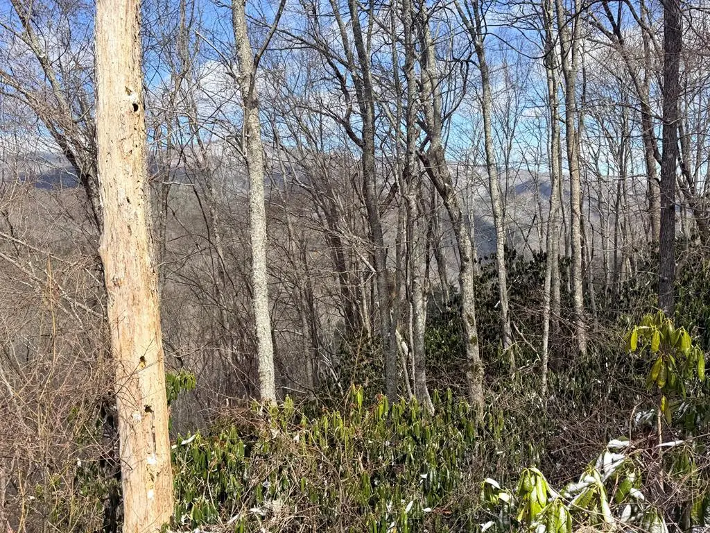 TBD Noon Day, Topton, NC 28781 - #1