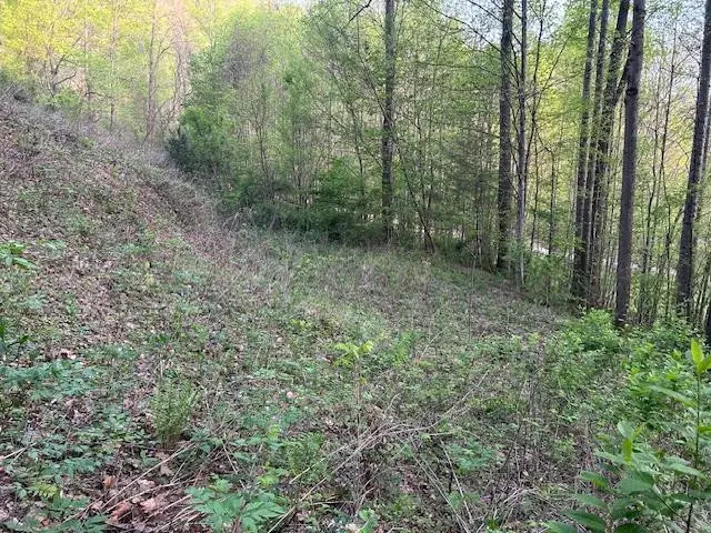 0 Yellow Branch State Rd.1267, Robbinsville, NC 28771 - #1