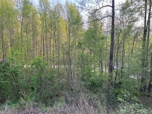 0 Yellow Branch State Rd.1267, Robbinsville, NC 28771 - #2