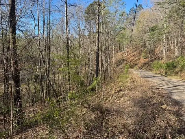 00 Robin Rd & Wren Lane, Murphy, NC 28906 - #1