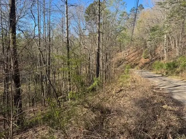 00 Robin Rd & Wren Lane, Murphy, NC 28906