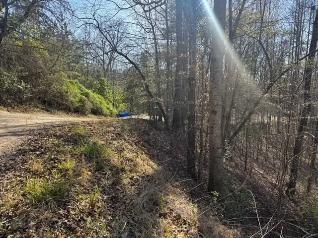 00 Robin Rd & Wren Lane, Murphy, NC 28906 - #3