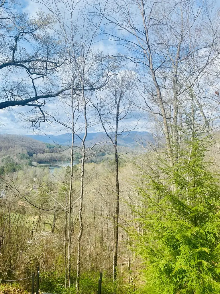 26 Hidden Falls Trail, Robbinsville, NC 28771 - #2