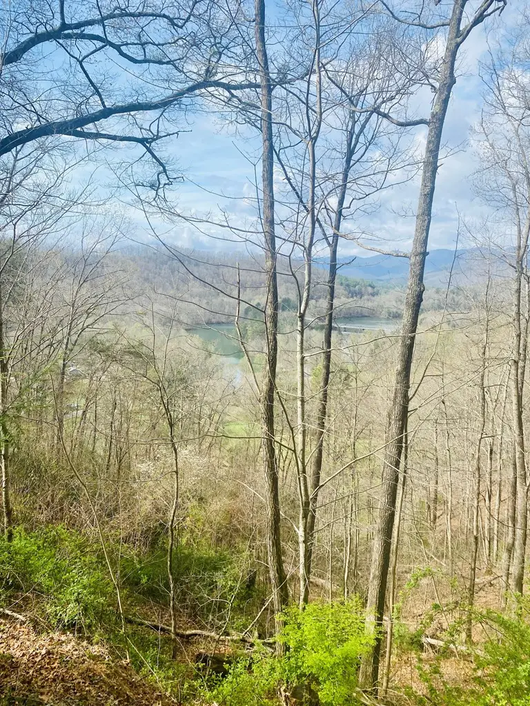 26 Hidden Falls Trail, Robbinsville, NC 28771 - #3