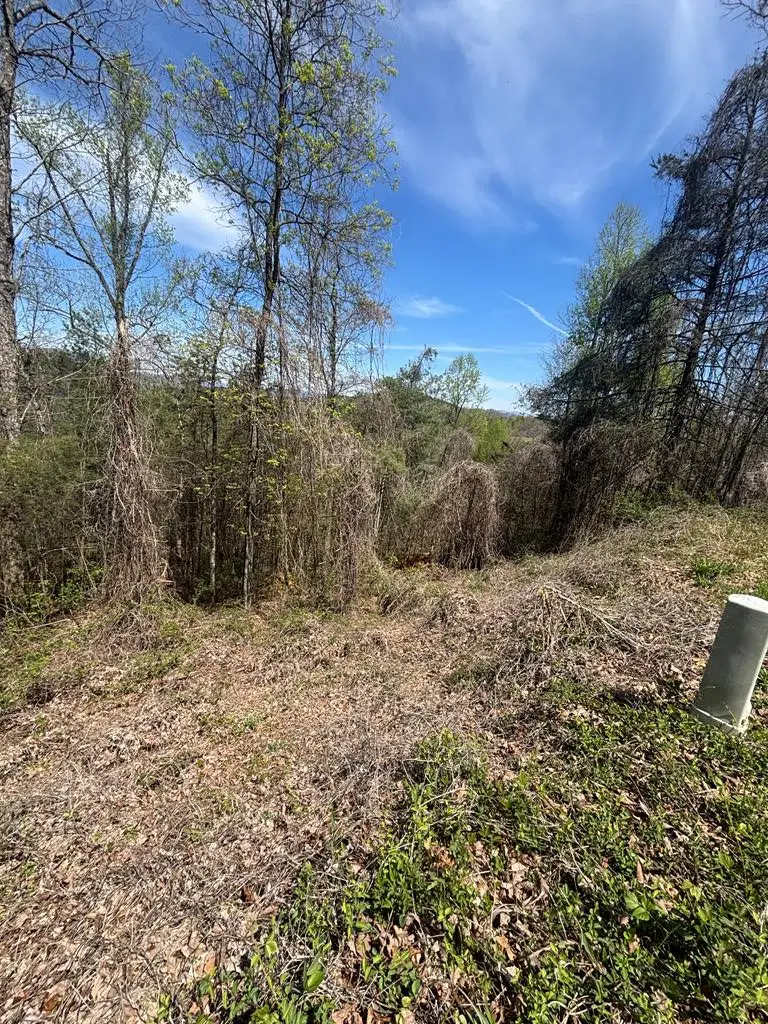 200 Carolina Fox Circle, Murphy, NC 28906 - #1