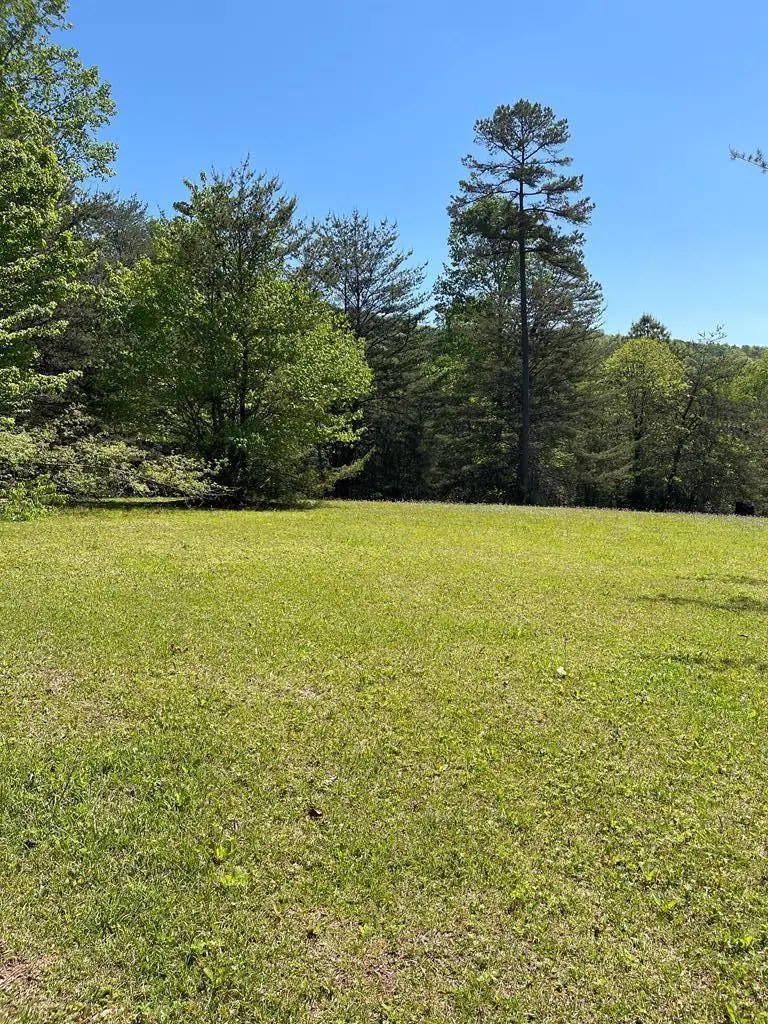 Lot 71A Licklog Ridge, Hayesville, NC 28904 - #2