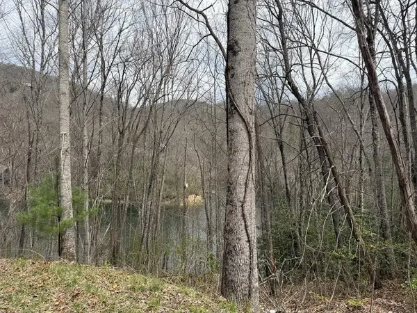 #20 Rainwater Point / Indian Lake Road, Topton, NC 28781