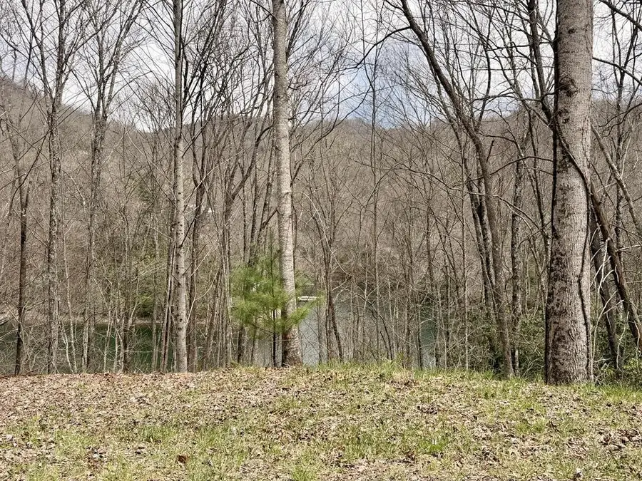 TBD Rainwater Point / Indian Lake Road, Nantahala, NC 28781 - #2