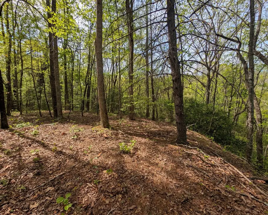 348 Atali Circle, Murphy, NC 28906 - #2