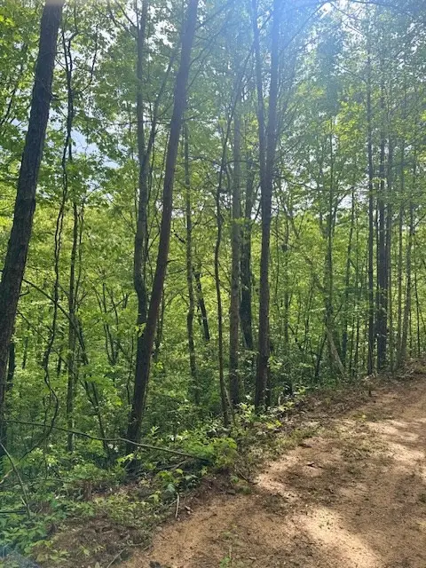 00 Tyler Lane, Marble, NC 28905 - #2