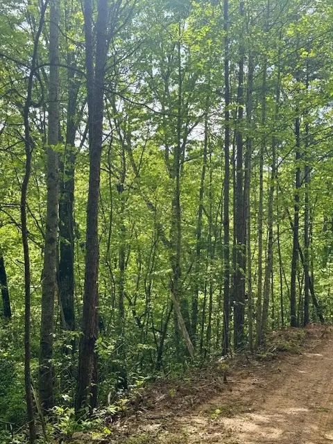 00 Tyler Lane, Marble, NC 28905 - #3