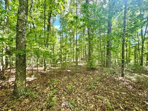 LT 3 Rockridge Road, Murphy, NC 28906