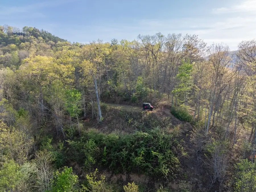 8888 Yellow Branch Road, Robbinsville, NC 28771 - #3