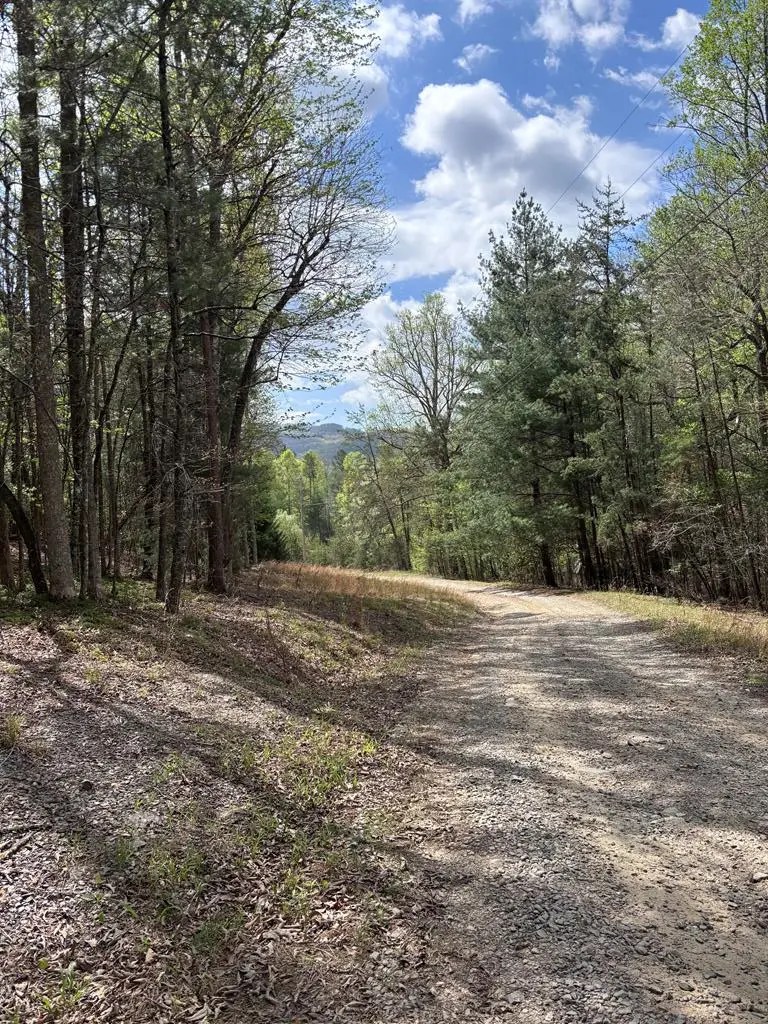 140 Hounds Run Lane, Murphy, NC 28906 - #1