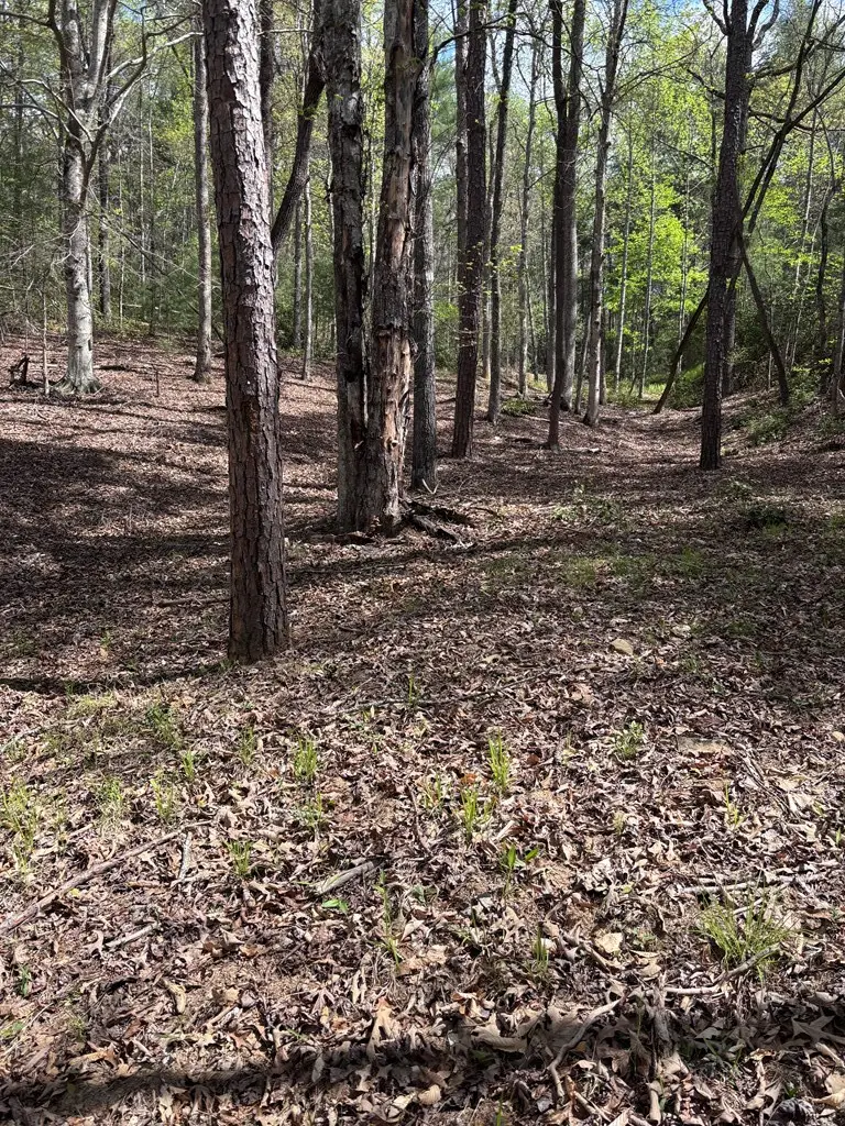 140 Hounds Run Lane, Murphy, NC 28906 - #3