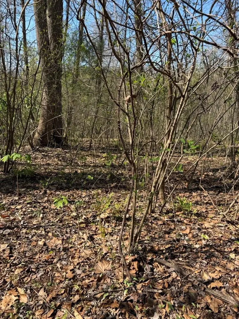 Lot 16-N High Meadows Drive, Hayesville, NC 28904 - #2