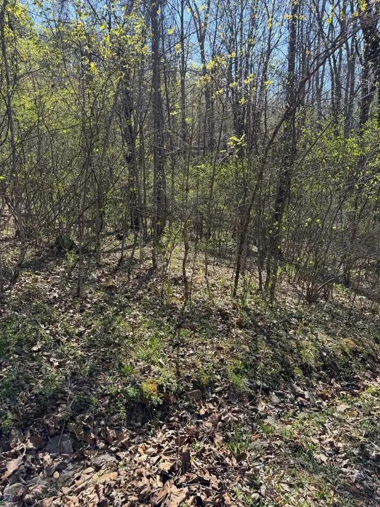 Lot 16-N High Meadows Drive, Hayesville, NC 28904 - #3