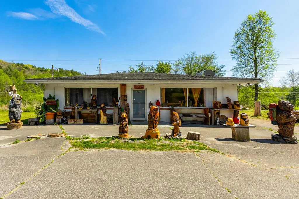 16245 W Us Highway 64, Murphy, NC 28906 - #1