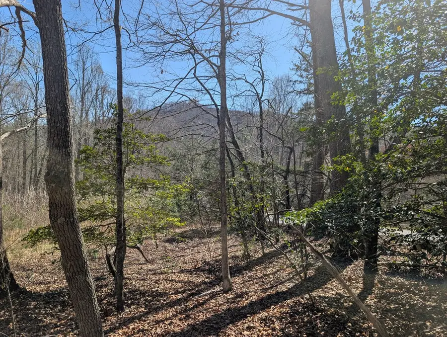 Lot 108 Smokerise Drive, Hayesville, NC 28904 - #2
