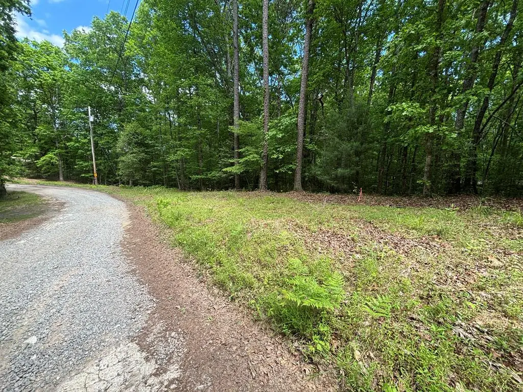 Lot 1B Forest Lane, Murphy, NC 28906 - #1