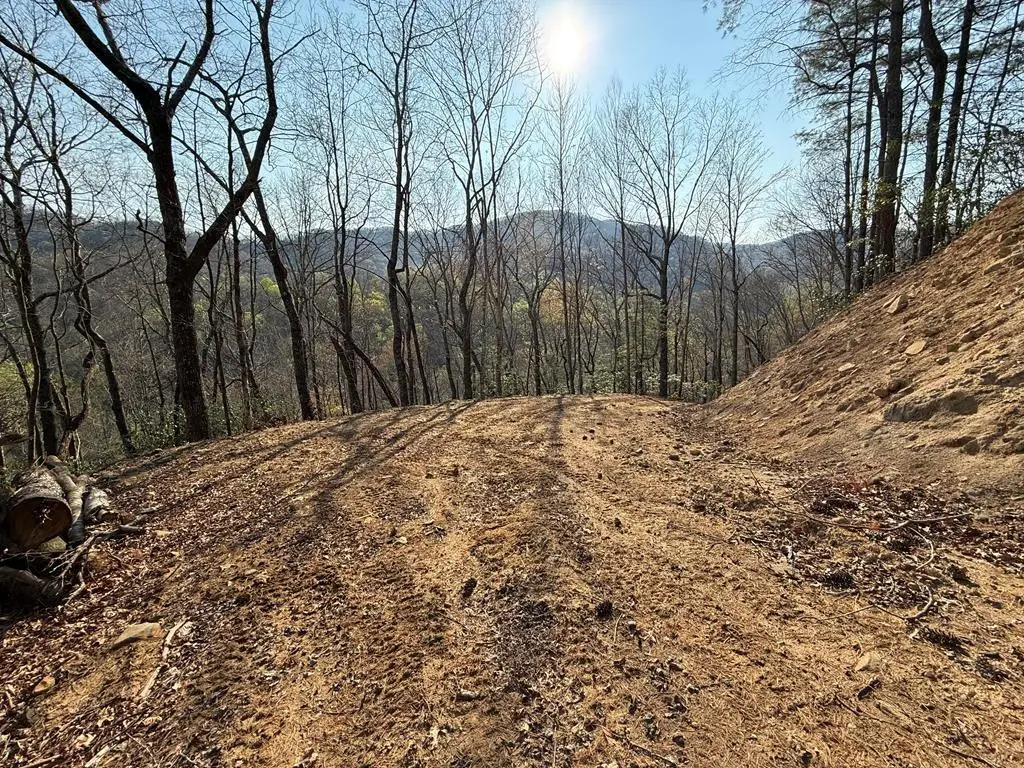 Lot 5 Huffman Creek Road, Robbinsville, NC 28771 - #1