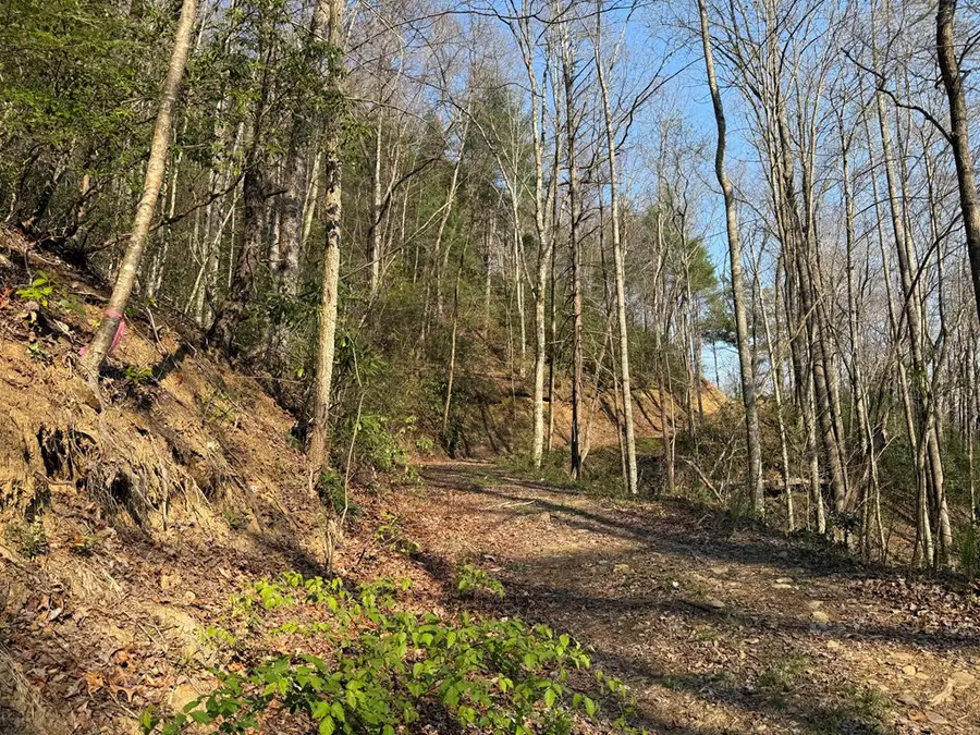 Lot 5 Huffman Creek Road, Robbinsville, NC 28771 - #2