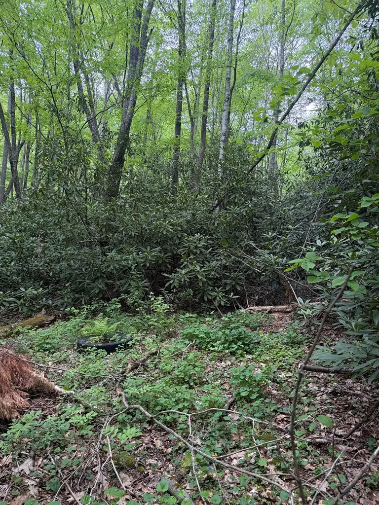 Lots9&17 Warrior Way, Andrews, NC 28901 - #3