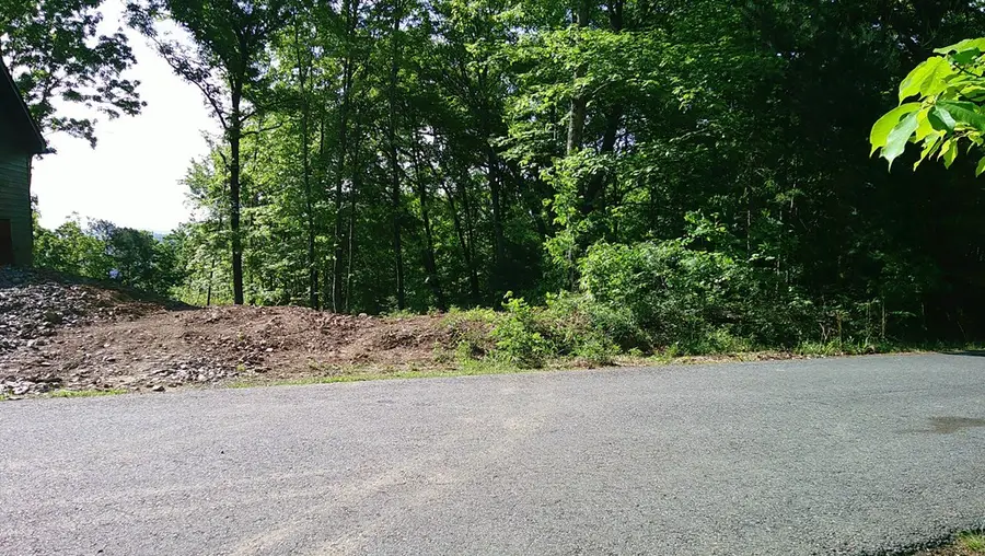 Lot 8 Fain Peak, Murphy, NC 28906 - #2
