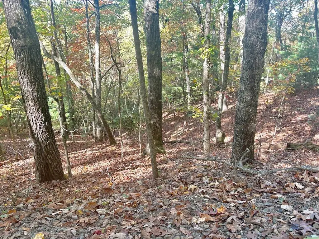 Lot 4 Ridgeline, Brasstown, NC 28902 - #1