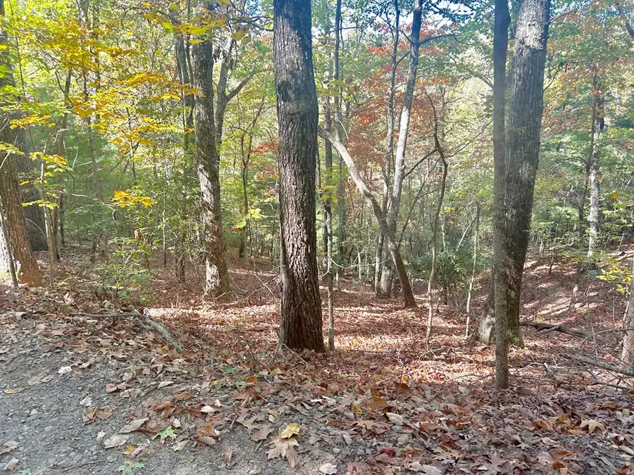 Lot 4 Ridgeline, Brasstown, NC 28902 - #2