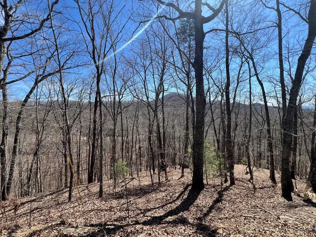 Lot 17 Panorama Dr Wolf Mountain Estates, Murphy, NC 28906 - #1