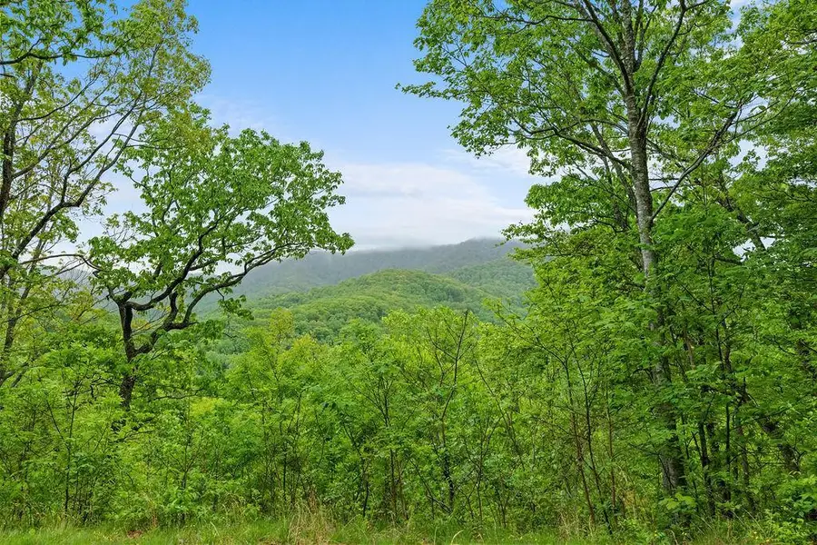 4187 W Old Murphy Road, Franklin, NC 28734 - #3