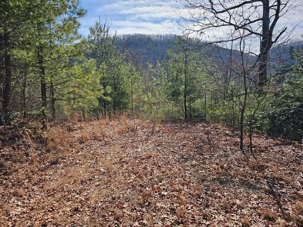 51 Kudzu Creek Trail, Murphy, NC 28906 - #1